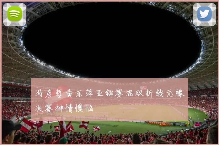 冯彦哲黄东萍亚锦赛混双折戟无缘决赛神情懊恼