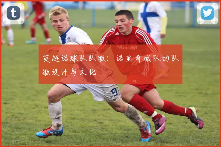 英超诺球队队徽：诺里奇城队的队徽设计与文化