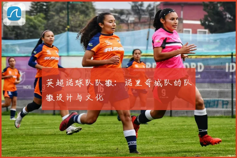 英超诺球队队徽:诺里奇城队的队徽设计与文化